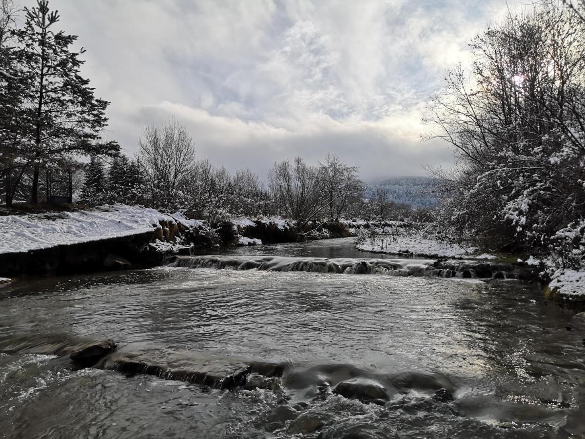 Dobre Miejsce Βίλα Ustrzyki Dolne Εξωτερικό φωτογραφία